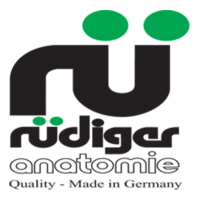 https://mail.jayakelana.id/uploads/partner/rudiger-6566210fb15c772.png