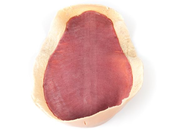 https://mail.jayakelana.id/uploads/product/-123009-canine-abdominal-skin-62088d4b34b0fa2_cover.jpg