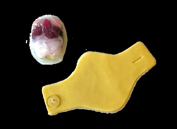 https://mail.jayakelana.id/uploads/product/-124002-synfrog-organ-replacement-540287ba7704d12_cover.png
