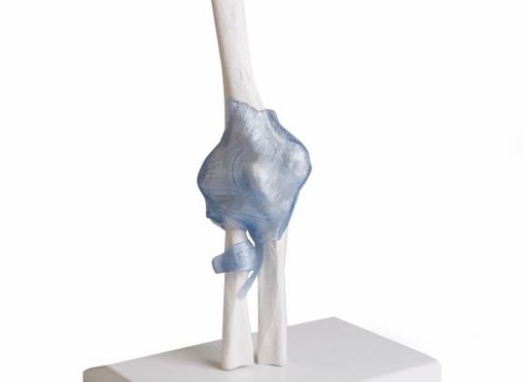 https://mail.jayakelana.id/uploads/product/-4556-elbow-joint-with-74156c85790daab_cover.jpg