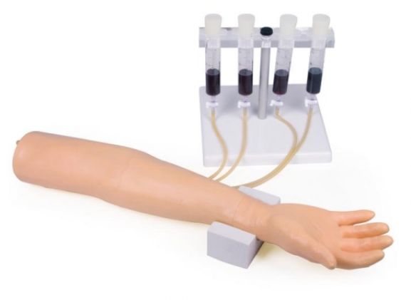 https://mail.jayakelana.id/uploads/product/-7010-training-arm-for-7306154b5f4edd2_cover.jpg
