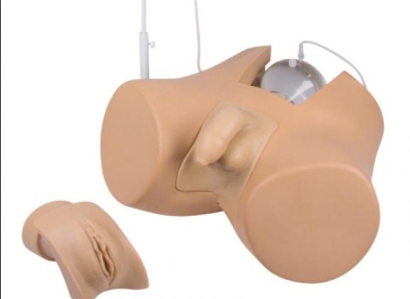 https://mail.jayakelana.id/uploads/product/-7030-catheterization-trainer-with-797206ad70bc1f1_cover.jpg