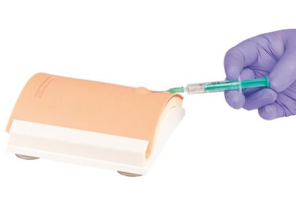 https://mail.jayakelana.id/uploads/product/-7110-intradermal-injection-trainer-71040cd5a10e01d_cover.jpg