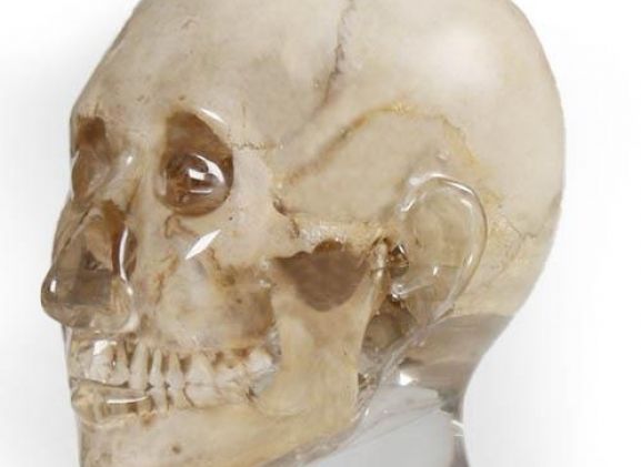 https://mail.jayakelana.id/uploads/product/-7320-x-ray-phantom-head--9158351c6a21c55_cover.jpg
