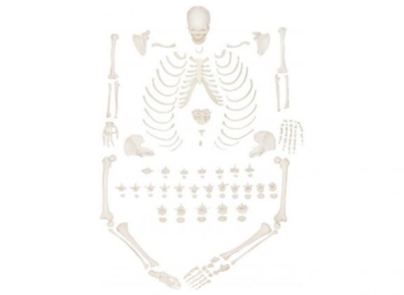 https://mail.jayakelana.id/uploads/product/-a-104406-axis-scientific-lengkap-94837050f0ab4c5_cover.png