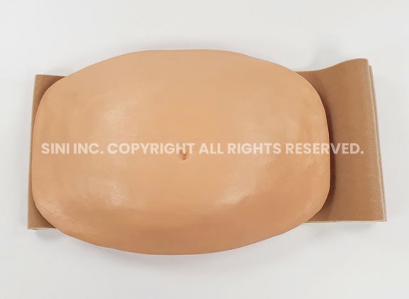 https://mail.jayakelana.id/uploads/product/-a-aib-01-abdominal-injection-trainer-band-49765befd6f9521_cover.jpg