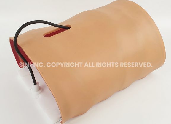 https://mail.jayakelana.id/uploads/product/-a-lpl-01-laparoscopic-body-type-806753863c1ae61_cover.jpg