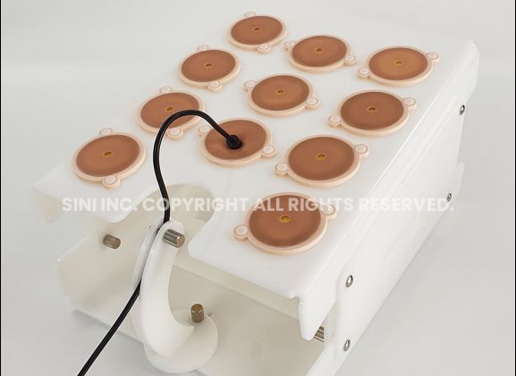 https://mail.jayakelana.id/uploads/product/-a-lpp-02-laparoscopic-portable-trainer-12269c33e80d6ea_cover.jpg