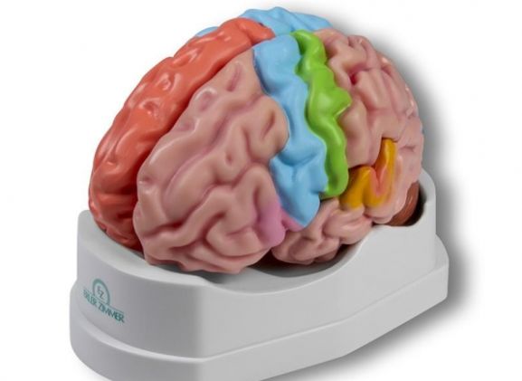 https://mail.jayakelana.id/uploads/product/-c922-functional-and-regional-826369c034c0b46_cover.jpg
