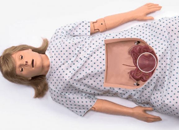 https://mail.jayakelana.id/uploads/product/-chloe-bedah-simulator-2844379bfd63db9_cover.png