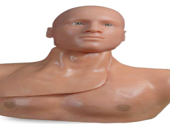 https://mail.jayakelana.id/uploads/product/-clm-51-centralineman-system-with-48437cf9e25ace1_cover.png