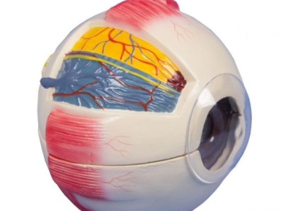 https://mail.jayakelana.id/uploads/product/-f220-eye-6-times-26211f7455e1d1c_cover.jpg