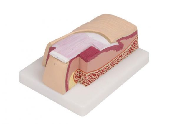 https://mail.jayakelana.id/uploads/product/-j60-nail-model-5-721022333ffa0e0_cover.jpg