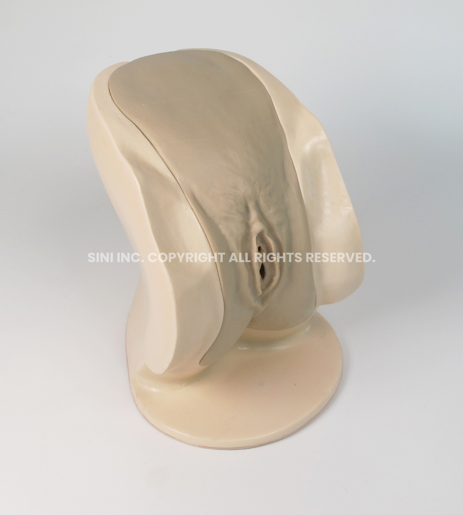 (P-CTB-02) Female Catheterization Trainer B
