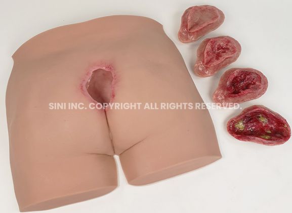 https://mail.jayakelana.id/uploads/product/-p-deu-01-decubitus-ulcer-trainer-36706786ebaa4b7_cover.jpg