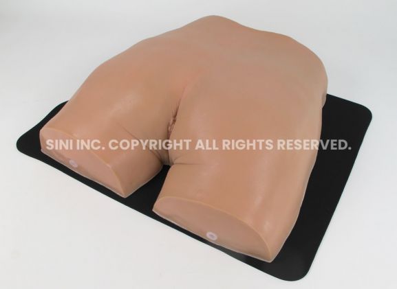 https://mail.jayakelana.id/uploads/product/-p-img-01-gluteal-intramuscular-injection-83497947d48ee67_cover.jpg