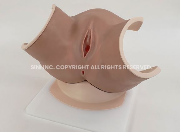 https://mail.jayakelana.id/uploads/product/-p-vag-01-vaginitis-model-81552fd3b54357e_cover.jpg