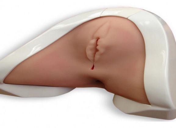 https://mail.jayakelana.id/uploads/product/-pelatih-perineal-perineal-prt-20--72871abfb38be35_cover.jpg