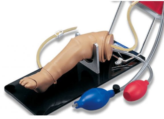https://mail.jayakelana.id/uploads/product/-pelatihan-keterampilan-kaki-infus-12621f8b87598c3_cover.png