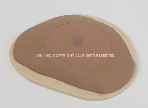 https://mail.jayakelana.id/uploads/product/-s-abs-01-abscess-drainage-trainer-13394ae7b38e0ac_cover.jpg