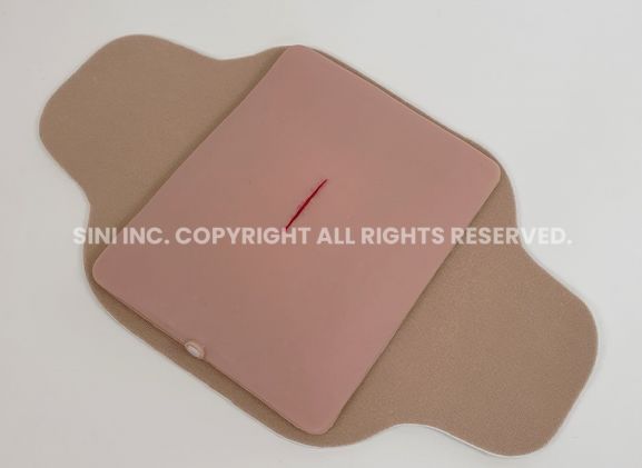 https://mail.jayakelana.id/uploads/product/-s-loa-01-local-anesthesia-trainer-3889203060fd044_cover.jpg