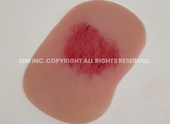 https://mail.jayakelana.id/uploads/product/-s-wtt-01-wound-treatment-training-5715772e5530cba_cover.jpg