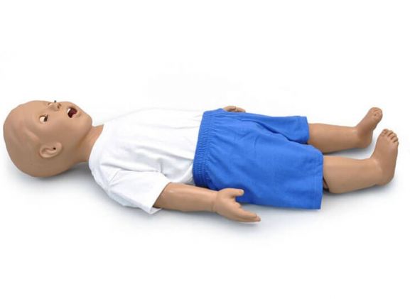 https://mail.jayakelana.id/uploads/product/-s312-1-year-pediatric-airway-27755439fc333ca_cover.jpg