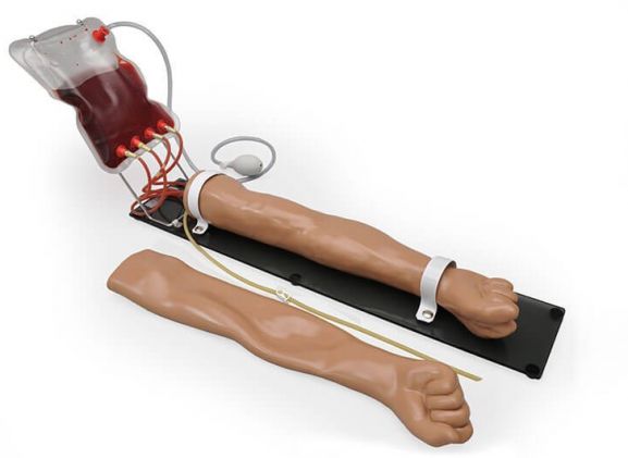 https://mail.jayakelana.id/uploads/product/-s401-multipurpose-venous-training-440976471321585_cover.jpg