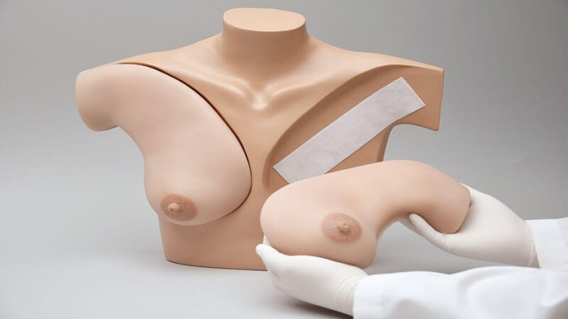 (S230.40) BREAST PALPATION SKILLS TRAINER TORSO
