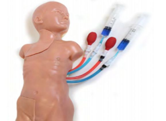 https://mail.jayakelana.id/uploads/product/-vacf-30-vascular-accessc-hild-71002979a20a7c9_cover.png