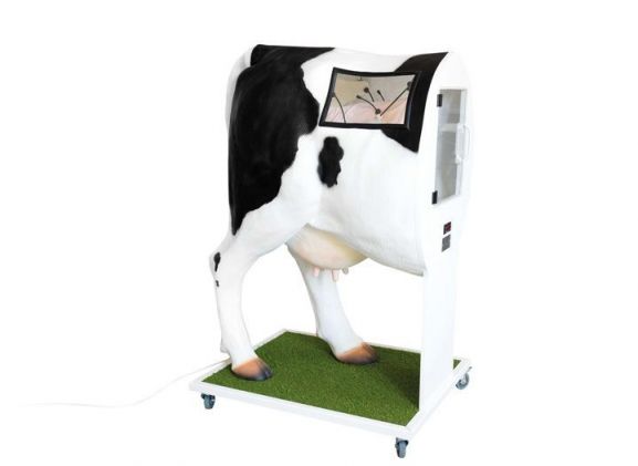 https://mail.jayakelana.id/uploads/product/-vet3400-advanced-simulator-for-12111a91b8b3b5c_cover.jpg