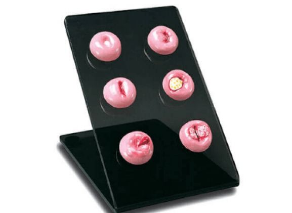 https://mail.jayakelana.id/uploads/product/cervical-replicas-s505--906936d80a06779_cover.png