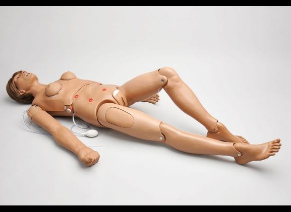 https://mail.jayakelana.id/uploads/product/clinical-chloe-nursing-51468b5d33588a0_cover.jpg