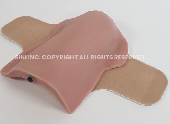 https://mail.jayakelana.id/uploads/product/deltoid-intramuscular-injection-trainer-3618154088c3781_cover.jpg
