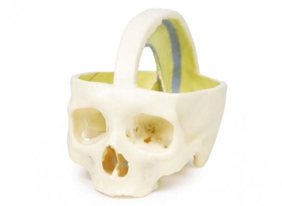 https://mail.jayakelana.id/uploads/product/dural-skull-970661cea50abff_cover.jpg