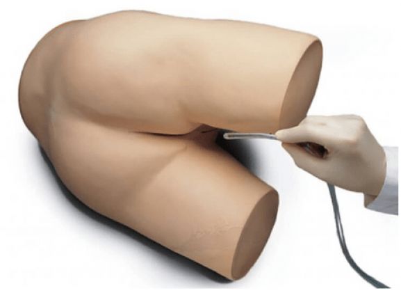 https://mail.jayakelana.id/uploads/product/enema-perawatan-pasien-lanjutan-2072423e160ce98_cover.png