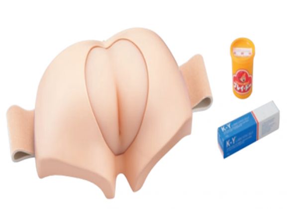 https://mail.jayakelana.id/uploads/product/fit-on-manual-disimpaction-simulator-522837fa217b6a8_cover.png