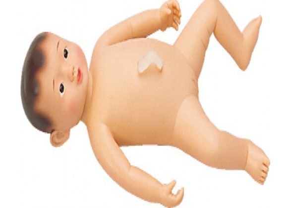 https://mail.jayakelana.id/uploads/product/gadis-model-mandi-haruko--286618d7875da98_cover.png