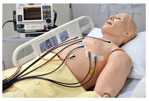 (S1020) HAL&reg; - 12-LEAD ECG SKILL TRAINER 