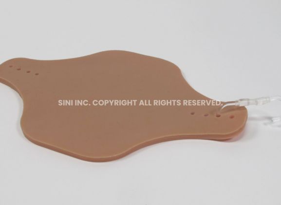 https://mail.jayakelana.id/uploads/product/intradermal-injection-trainer-519593d4b767eb2_cover.jpg