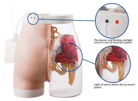 https://mail.jayakelana.id/uploads/product/intramuscular-injection-model-of-17666f9d6a25123_cover.png