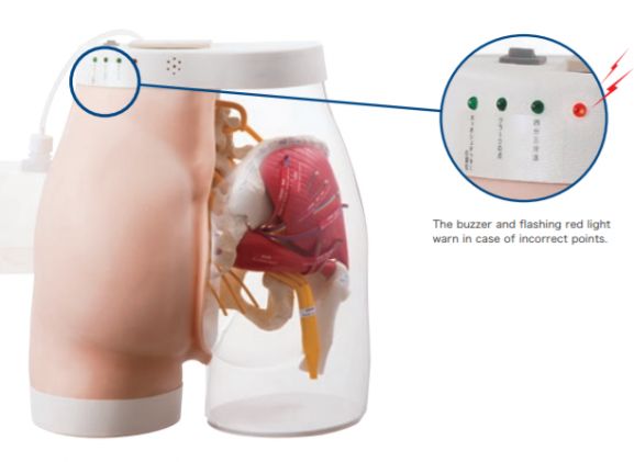 https://mail.jayakelana.id/uploads/product/intramuscular-injection-model-of-5833681713cf65b_cover.png