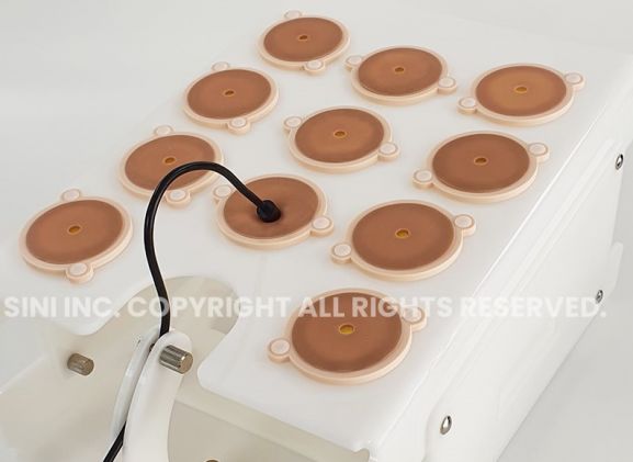 https://mail.jayakelana.id/uploads/product/laparoscopic-portable-trainer-207366ea642d044_cover.jpg