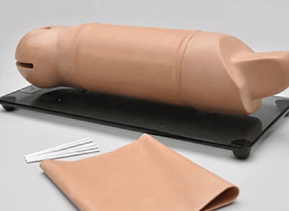 https://mail.jayakelana.id/uploads/product/lengan-pelatihan-implan-reproduksi-37750f3be4d71c3_cover.png