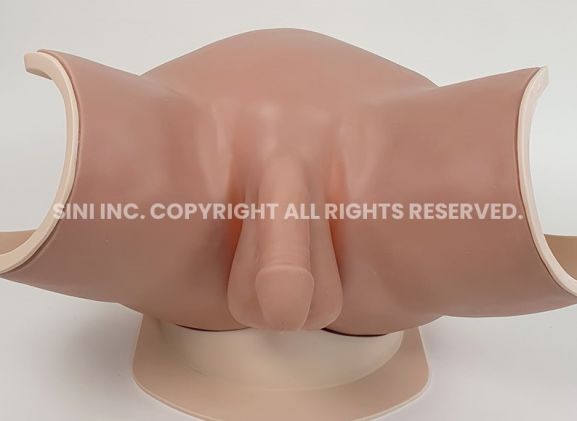 https://mail.jayakelana.id/uploads/product/male-catheterization-trainer-a-353272851403198_cover.jpg