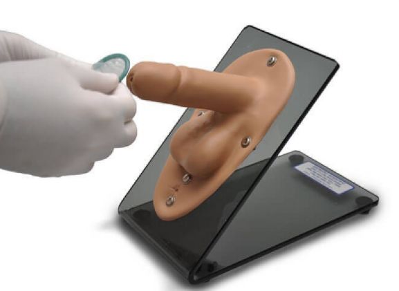 https://mail.jayakelana.id/uploads/product/model-kondom-pria-s517--249398ab04b32c4_cover.png