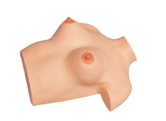 https://mail.jayakelana.id/uploads/product/model-pijat-payudara-simulator-9749442cf66a1db_cover.png