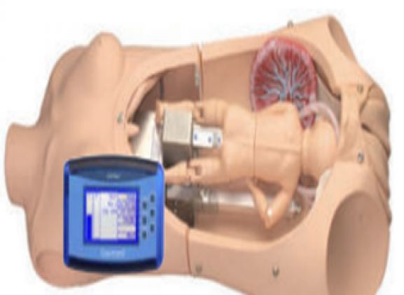 https://mail.jayakelana.id/uploads/product/noelle-birthing-torso-dengan-83138c1b4c9c1d7_cover.png