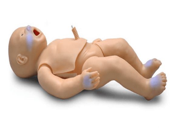 https://mail.jayakelana.id/uploads/product/pedi-blue-newborn--46526182da88257_cover.png