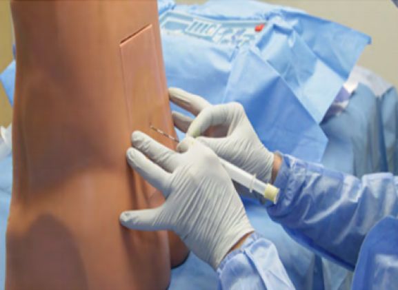 https://mail.jayakelana.id/uploads/product/pelatih-epidural-lumbar-le-30--910026af868330e_cover.png